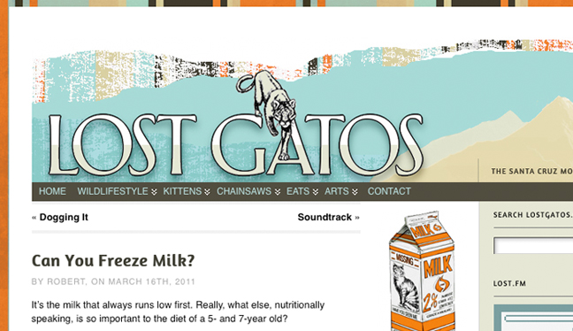 LostGatos